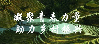 2025年武汉市“大学生助力乡村振兴” 活动结项评审结果公告